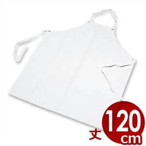 StGv  LL 120cm^v rj[Gv O| Ɨp pƒ jɂ 004031003