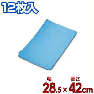 ڂ^I  28.5×42cm 12Zbg^ӂ NX 005530004