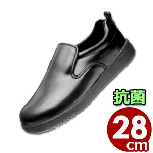 ~[pEHiHpƕtV[Y ATqRbN101iϖj  28cm^HX Lb`  C R  008726012