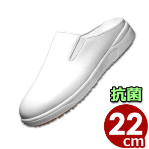 ~[pEHiHpƖV[Y ATqRbN102iϖj  22cm^HX Lb`  C R  Xbp Xb| 008727001