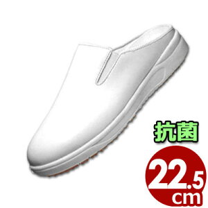 ~[pEHiHpƖV[Y ATqRbN102iϖj  22.5cm^HX Lb`  C R  Xbp Xb| 008727002