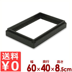 �G���N�^�[ �T�[���E�t���[�`���[�E�{�b�N�X GN �C���T�[�g TF10073 60×40cm×����8.5cm�^��~�� �グ�� �������� �s���[�J�[���^�ԕi�s�t 011704001