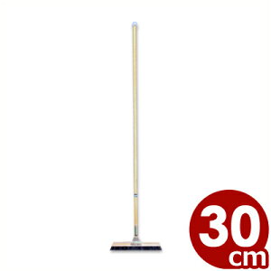 tA|pق TR ؕ ⴁiقj 30cm z[L^uV || | 012087002