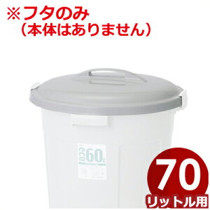 ݔ ZLXC GR|y[ ی^70pt^̂ {̂Ȃ O[ Đ|vsgp^ӂ ݔ _Xg{bNX 013669003