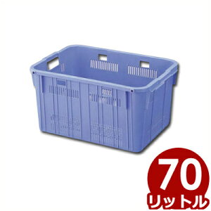 ZLXC lXgbV BK-70 62×45×33cm^Rei JS oXPbg ꕨ e ؂ 013675070