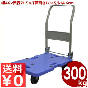  TCg}X^[ DSK-301 ܂肽ݎ ω׏d300kg Ɩp É ^ yʑ ^ ^  ^ L[J[g J[g L[ Ɩp H q ܂肽 