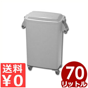 ~[y[ LX^[t 70L CK-70 O[^~[ppoPc ݔ _Xg{bNX ړ ԗ֕t 017206003