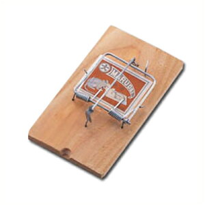 Qb쏜 ol ˂ݔ^˂ݎ Qbpgbv 024047002