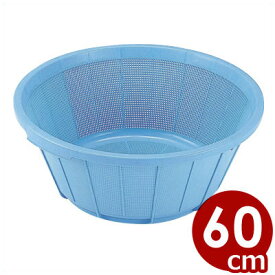 楽天市場 かご 大きい プラスチックの通販