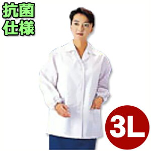 厨房用調理着 ワークフレンド 女子白衣 長袖 SKA335 3Lサイズ/キッチン レディース 作業着 清潔 衛生 《メーカー取寄/返品不可》 026704005