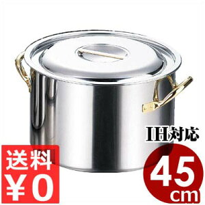 Nbh| 45cm^49bg IHidjΉ^Ɩpw| ǂ V`[ t^| 029406045