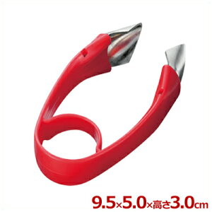 v`g}gẼw^ txW sR FV-601^w^Jb^[ 029527001