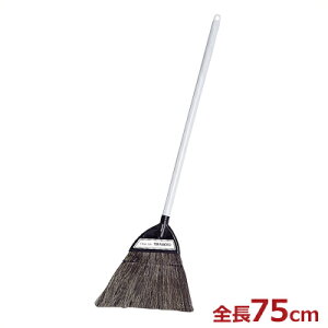 TRMM Az[L Z 75cm tAق^ItBXEX܁Eƒ |pق 030207001