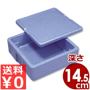 デリバリー用保温・保冷コンテナBOX Hot&CooL RH-100型 発泡材コンテナ 53×53×22cm/ボックス 箱 入れ物 容器 温かい 冷たい 運搬 持ち運び 配達《メーカー直送 代引/返品不可》 030847001