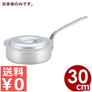 A~ kA~ }CX^[^Ў 30cm t {̂̂ ӂʔ 6.8bg^Ɩp Vv s[J[^ԕist 031594042