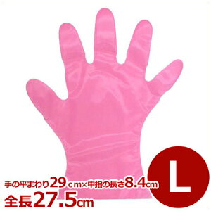 Ɨp| J[}CWXgO[u 200iϔj L sN^q  ĝ Ft 031850006