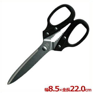 ؍ēoT~ 22cm^Lb`΂ ؂ 036610001