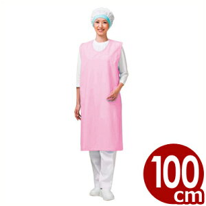 ƖpGv EghCGv 100cm m[X[uES E1203-4G sN^B Ȃ  ɂ v 043324009