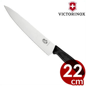rNgmbNXiVICTORINOXj XCXNVbN VFtiCt 22cm 6.8003.22E ij^p XeX s[J[^ԕist 057123022