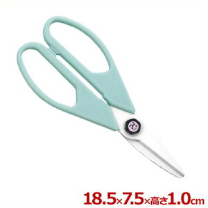 zZ~bN͂ S S18.5cm O[^Lb`΂ nT~ R  q s[J[^ԕist 070484003