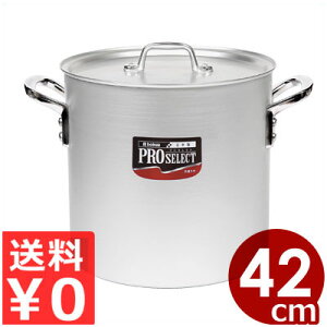 vZNg A~ 42cm 57L A}CgH Ɩp Wt ǂ  ~[ v   ix Ȃ Ɩp KXR KXp ύݗ e 072110042