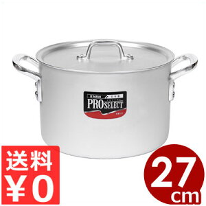 vZNg A~ 27cm 9L A}CgH Ɩp Wt ǂ V`[  ~[ v   ix Ȃ Ɩp KXR KXp ύݗ 072111027