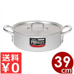 vZNg A~O֓ 39cm ^ 16L A}CgH ^L \g[ Ɩp ϕ  ~[ v   ix Ȃ Ɩp KXR KXp s[J[^ԕi