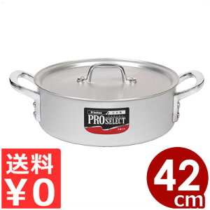 vZNg A~O֓ 42cm ^ 19L A}CgH ^L \g[ Ɩp ϕ  ~[ v   ix Ȃ Ɩp KXR KXp s[J[^ԕi