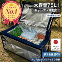 保冷ボックス 大容量 75L 【楽天1位！ 高評価★4.82】 軽量 高保冷力 業務用 CGBOX75L+N 内袋 アルミ断熱 食品 飲料 …