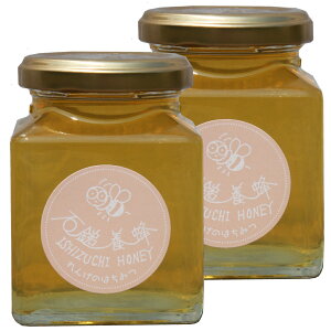  ݂͂ Y Y _ Βȗ{I r230g×2{ VR Q s O ~co` Mtg  Ε 