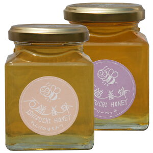  ݂͂ Y Y _ Βȗ{I r230g×2{ VR Q s O ~co` Mtg  Ε 