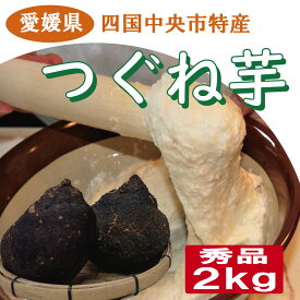 つぐね芋（つくね芋） 秀品 2kg 四国中央市特産 希少な山芋 強い粘り 贈答にも最適