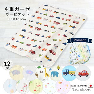 xr[ K[[ Pbg 80 x 105 4dK[[  ܂ LfB Q { 100 K[[ |zc xr[ LbY ^IPbg 