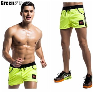 Y V[gpc n[tpc X|[cEFA [EFA g[jOEFA WEFA V[c n[p jp(fr004)