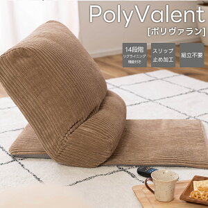 PolyValent |@ ֎q  NCjO tA`FA `FA[ NbV  w    ^ V[g k R[fC i` x[W O[ }