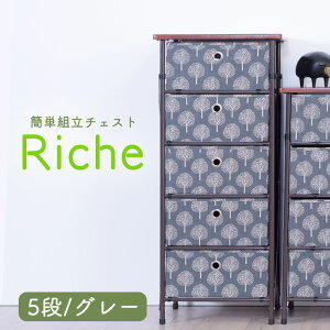 `FXg 4i 5i ȒP gݗ ؖڒV Riche [`F [ ^X [P[X {bNX ߑP[X [ o c[  킢 V l炵 ȒPg Hsv