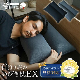 枕 いびき 横向き寝 いびき防止 枕 まくら 高さ調整 日本製 イビキ 無呼吸 肩こり 首こり ストレートネック マクラ 横向き 高さ調節 パイプ 硬め 洗濯 洗える 丸洗い 通気性 蒸れない 快眠グッズ 父の日 誕生日 ギフト プレゼント 実用的 男性 旦那 夫 首狩り族のいびき枕EX
