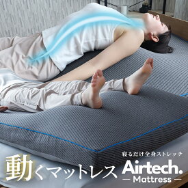 ストレッチマット BlueBlood エアテック マットレス シングル AirTech Mattress 寝るだけストレッチマット ノンスプリング 巻き肩 猫背 フットケア だるさ 足楽 足上げ 瞑想 入眠儀式 ハイテク 動的寝具 ブルーブラッド