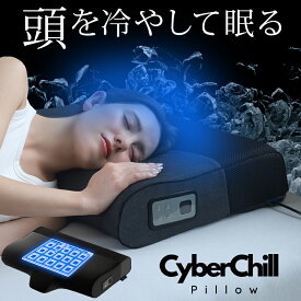 ひんやり枕 水冷枕 サイバーチルピロー 肩こり 首こり 冷感 冷却 クール COOL 夏用 暑さ対策 熱帯夜 熱中症対策 ひんやり 冷たい 仰向け 横向き まくら マクラ 温熱機能付き BlueBlood ブルーブラッド RKBタダイマ めざましテレビ