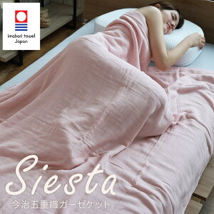 5dK[[Pbg Siesta VGX^  K[[Pbg ^IPbg VO 100 I[V[Y o[Vu { ʃK[[ 2way 炩 ӂ z | K[[ uP