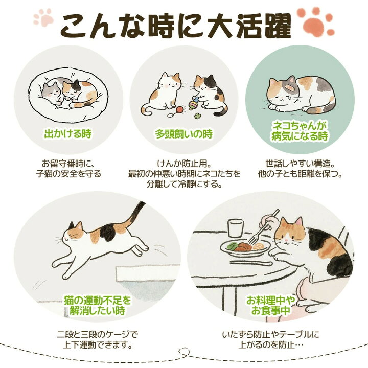 楽天市場】【全店最大1000円クーポン配布！】【改良版登場！】猫 