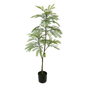 ySSZ[31%OFF+ő1000~N[|IztFCNO[ ϗtA WJ_ tFCN  lHϗtA ^ h ze CeA A  j    tBJ