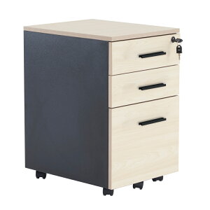 fXNS i 3i gĕsv TChS 1NSۏ ItBXS e LX^[t t zCg ubN TChfXN S A4 t@Cؐ [ e 