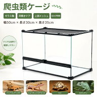 爬虫類 ケージ 飼育ケース 幅50cm×長さ30cm×高さ35cm 両開きガラスケース 飼育ケージ ガラス製 両開き…