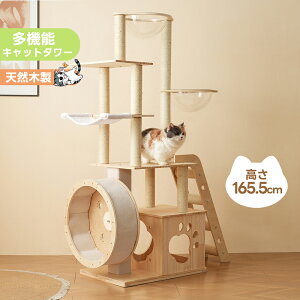 100~OFFN[|Lbg^[ ؐ Kit FD B ^ @u   Lbg^[ ؐ ^ R ܂Ƃ Lxbh SS ybgpi ^L q