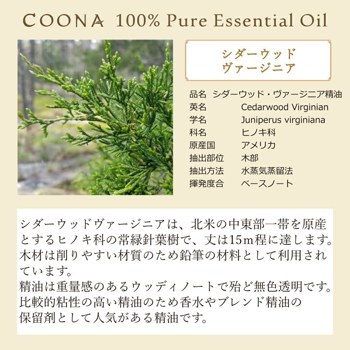 楽天市場 100 ピュア エッセンシャルオイル シダーウッド ヴァージニア セドロール 50ml 送料無料 アロマ 石けん専門店coona