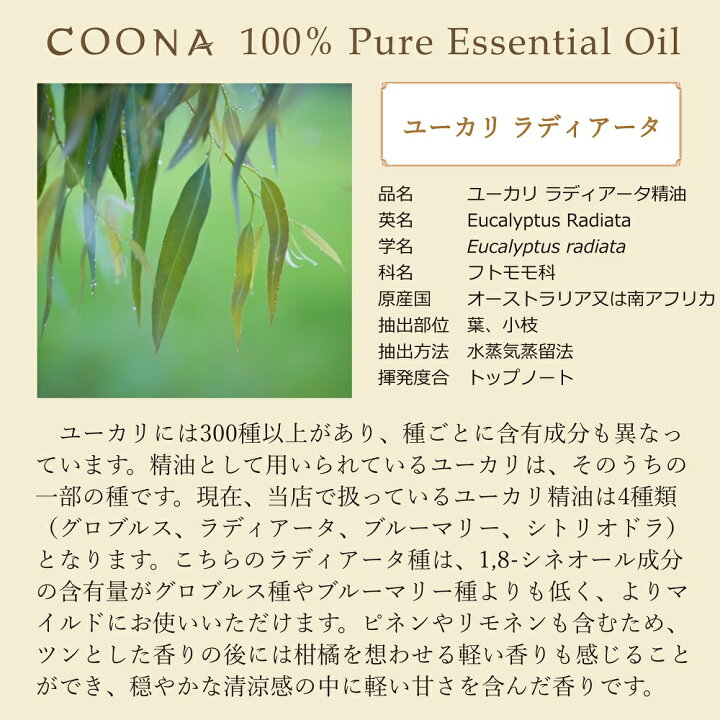 楽天市場 100 ピュア エッセンシャルオイル ユーカリ ラディアータ 50 Ml 送料無料 アロマ 石けん専門店coona