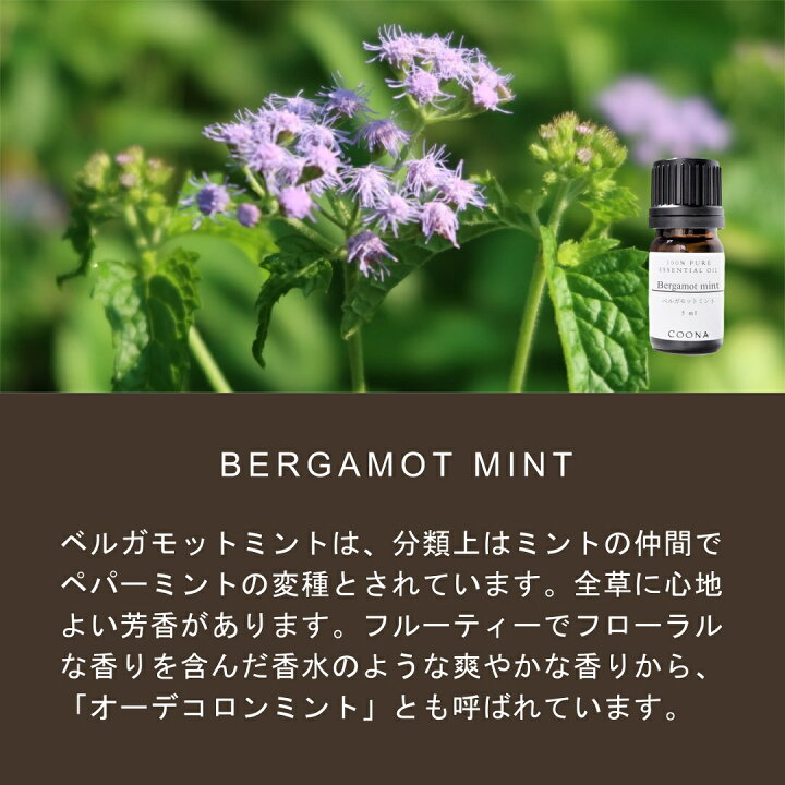 楽天市場】ベルガモットミント アロマオイル 精油 5ml アロマ 