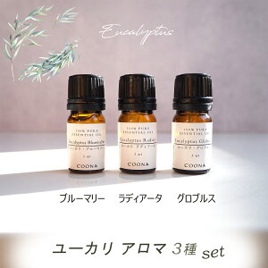 [J 3 A} Zbg  A}IC GbZVIC OuX fBA[^ u[K u[}[ 3 5 ml×3{ set 