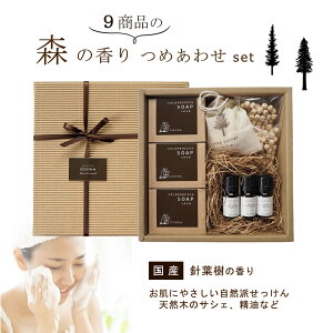 Mtg v[g 蕨 Ԃ j X̍ Ό A} a lߍ킹 Zbg jt  Rh Ō`Ό Ђ̂ Ђ  Y VR  fBt[U[ TVF Ȃǁi79j